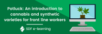 Potluck - An introduction to cannabis and synthetic varieties for front line workers